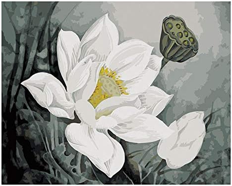 BNGAC Frameless White Lotus Pure Flower DIY Digital Painting by Numbers Modern Wall Art Canvas Painting Unique Gift Home Decor 40X50Cm