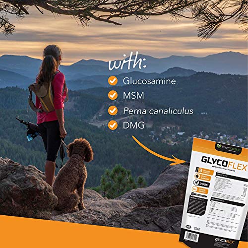 Vetri-Science Laboratories Glyco-Flex Iii Bite-Sized Chews - 120 Count - Thumbnail 5