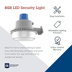 Lithonia Lighting Outdoor LED Dusk Dawn Security