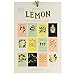 ZENNO Rifle Paper Lemon Wall Calendar 2019