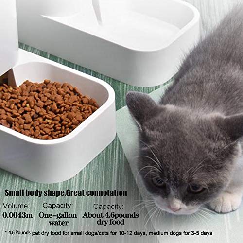Automatic Pet Feeder and Water Dispenser Gravity Feeder - Image 6