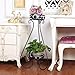 AISHN Metal Plant Stand 2-Tiered Potted，Supports Floor Flower Pot Round Rack Display，Perfect For Home, Garden, Patio, Outdoor Indoor