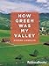 How Green Was My Valley (Books into Film)
