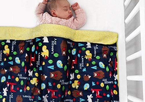 Kassy Pop Organic Microfiber Fleece Baby's Plush and Super Soft Blankets (30x40 Inches, 0-2 Years)