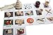 Wooden Montessori Object Match with Cards- Miniature Objects with Matching Cards - 2 Part Cards. Montessori learning toy, language materials