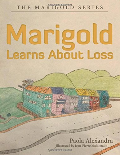 Marigold Learns About Loss: The Marigold Series