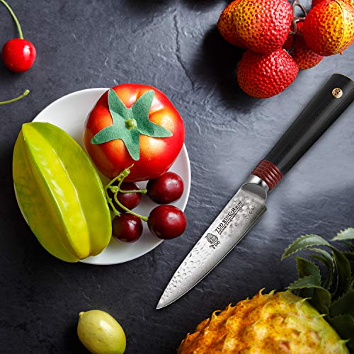 TUO Paring Knife AUS10 Japanese Damascus Steel Kitchen Paring Knives