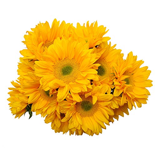 Stargazer Barn - Gratitude Bouquet - Fresh Sunflowers With Vase