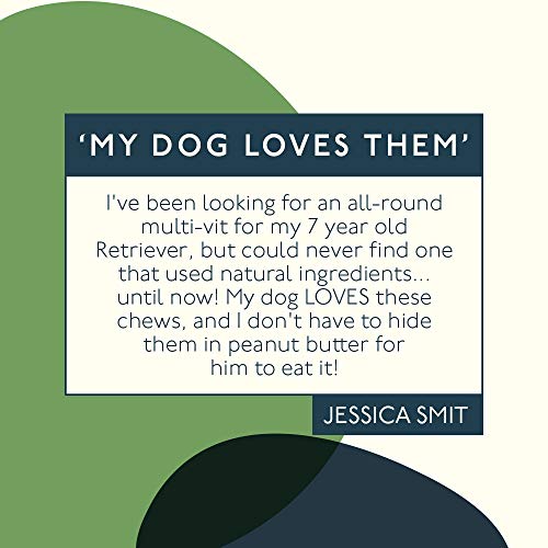 image for Petlab Co. Multivitamin Chews | Chewable Dog Vitamin Treats and Supple