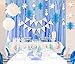 pinkblume Frozen Party Snowflake Decoration Kit–Winter Wonderland Decorations White 3D Paper Snowflake Garland,Blue Large Hanging Snowflake Banner,Purple and Blue Snowman Garland