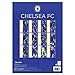 Official Chelsea FC (Premier League) 2019 Soccer Calendar (A3)