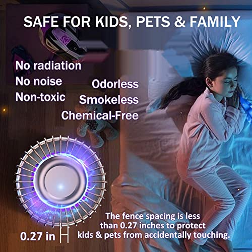 Will A Bug Zapper Kill Fruit Flies at Melvin Crawford blog