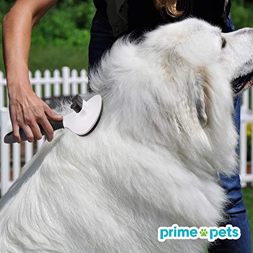 Dog Brush, Self Cleaning Slicker Brush for Dogs and Cats, Pet Dog Grooming Brush, Effectively Reducing Shedding by Up to 95%, Easy to Clean -Professional Pet Grooming Brush Removes Mats, Tangles, and Loose Hair