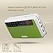 Rolton E500 Portable Stereo Bluetooth Speakers FM Radio Clear Bass Dual Track Speaker TF Card USB Music Player (Green)