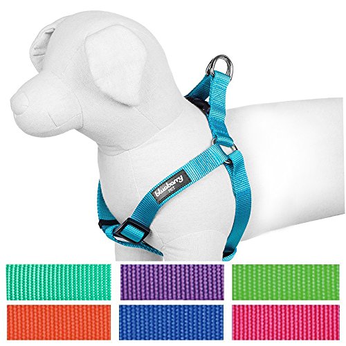 Blueberry-Pet-Classic-Solid-Color-Adjustable-Dog-Harness-7-Colors-Matching-Collar-Leash-Available-Separately