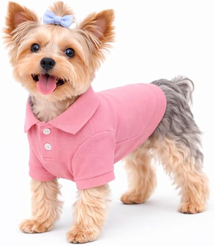 Amazon.com : Zack & Zoey Aberdeen Sweater for Dogs, 24