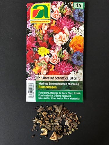3 variedades | Surtido de semillas de flores | Set para flores de ...