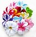 (100) Assorted Hawaiian Plumeria Frangipani Silk Flower Heads - 3