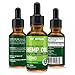 Premium Hemp Oil - 250mg of Hemp Extract per bottle Helps Relieve Chronic Pain, Improves Sleep, Mood, Brain Function, Skin and Hair - Utilizing liquid hemp with better overall Absorption CBD Free