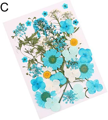 HEART SPEAKER DIY Art Handicraft Pressed Mixed Organic Natural Dried Flowers Gift Decoration - C