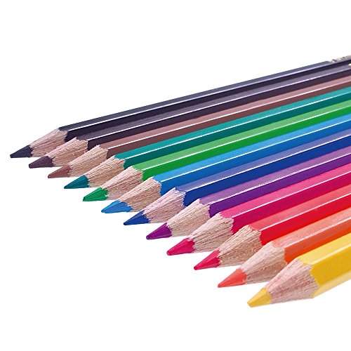Staedtler Colored Pencils, 36 Colors (144ND36) New eBay