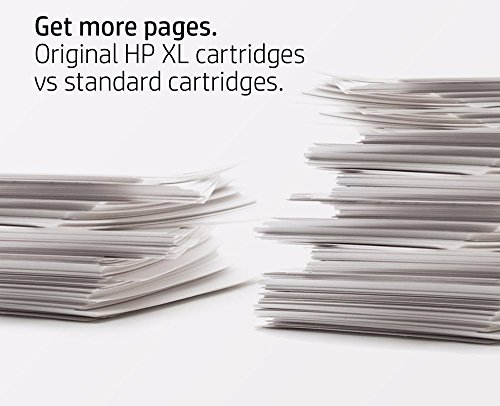 HP 60XL Black High Yield Original Ink Cartridge (CC641WN)