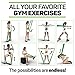 Aylio Resistance Bands and Door Anchor for Exercise, Fitness, Physical Therapy, Pilates Workout, Stretching | 6 Feet Long