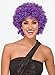 Sea View Treasures 5 Bulk Costume Party Wigs