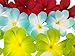 Winterworm Pack of 50 Mixed Artificial Silk Flower Plumeria Frangipani Heads 2.8 inch for Wedding Garland DIY Jewelry Accessories