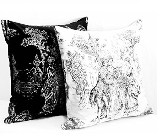 Amazon Com Black White Throw Pillow Set 20x20 Pillow Cover