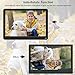 Kenuo Digital Picture Frame 10.1 Inch Motion Sensor Include 32GB Card 1920x1080 IPS Screen Digital Photo Frame, Auto Power On/Off, Music Support 1080P Video Music, SD Card and USB