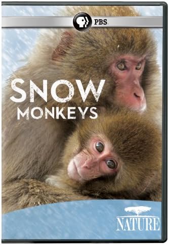 Amazon.com: Nature: Primates : n/a, Nikki Waldron, Nick Easton