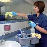 Draper Cleaning Caddy 40 x 30 x 13cm Tote Tray with Handle Grey view 2