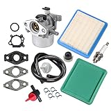 Panari 799866 Carburetor + Tune Up Kit Air Filter Fuel Valve for Briggs and Stratton 790845 799871 796707 794304 491588S 491435S