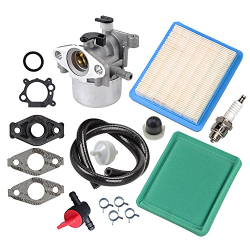 Panari 799866 Carburetor + Tune Up Kit Air Filter Fuel Valve for Briggs and Stratton 790845 799871 796707 794304 491588S 491435S