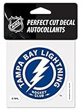 NHL Tampa Bay Lightning 4x4 Perfect Cut Decal