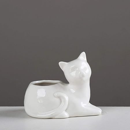 Likezz Mignon Animal Chat En Ceramique En Ceramique Succulente Vase Pot De Plante De Fleur Pour La Maison De Jardin Decoration De Bureau Blanc Couche Chat Amazon Fr Cuisine Maison