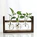 Ivolador Desktop Glass Planter Bulb Vase with Retro Solid Wooden Stand for Hydroponics Plants Home Garden Wedding Decor (3 Bulb Vase)thumb 1