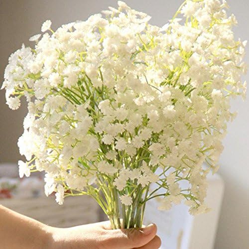 Gmgqsago 30Pcs Colorful Baby's Breath Gypsophila Seeds Flower Garden Bonsai Plant Decor - White