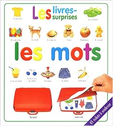 Les  mots