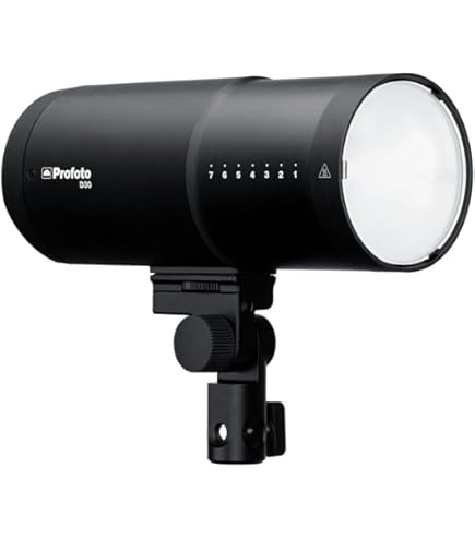 Amazon.com : Profoto D2 Duo 500/500 AirTTL 2-Light Kit