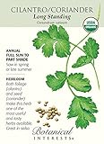 Long Standing Cilantro Seeds - 3 grams - Organic by Hirts: Seed; Herb