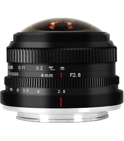 Amazon.com : Panasonic LUMIX G FISHEYE 8mm/F3.5 Lens | H-F008