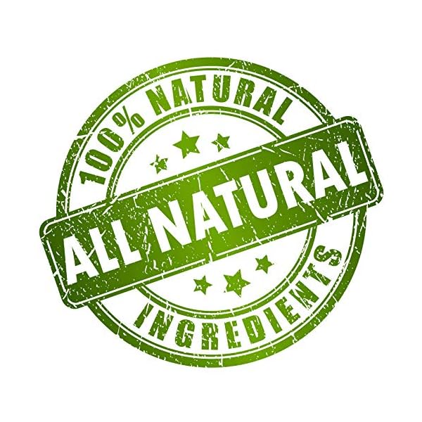 DHEA Cream 20mg for Men & Women Bioidentical DHEA USP Natural Natural Energy Supplement, Mood