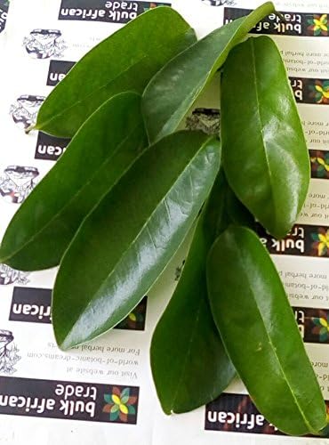 Graviola Leaf Pack for Tea 1000 leaves
