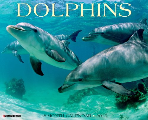 Dolphins 2015 Wall Calendar Dolphins 2015 Wall Calendar