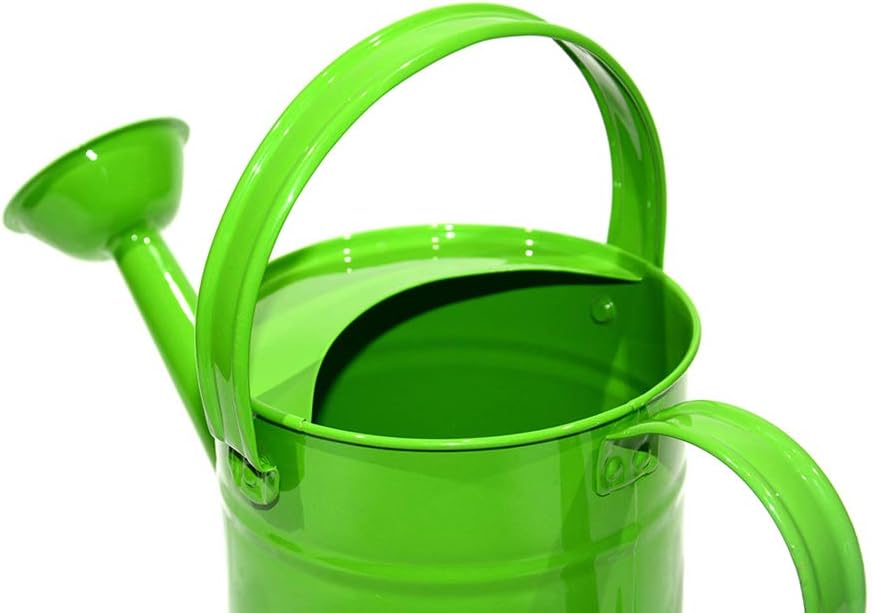 yourjoy Galvanized Metal Wating Can 67 OZ (0.5 Gallon), Watering Pot with Handle and Removable Spout for Outdoor and Indoor Plant Watering : Garden & Outdoor