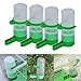 Automatic Bird Feeders Plastic Bird Water Feeder Parrot Water Feeding Bird Cage Accessories Automatic Bird Watering Dispenser Bird Drinking Feeder 4 PCSthumb 2