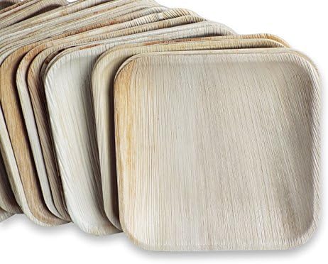 25 Pack EARTHLINK Palm Leaf Plates | 10 Inch Square | Perfect Disposable Wedding and Party Plates | All Natural 100% Biodegradable and Compostable | Eco Friendly | Heavy Duty Leafplates