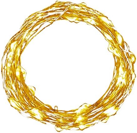 Isightguard Waterproof LED String Lights Copper Wire Lights, 33ft Copper Wire 100 LEDs Fairy Starry Light for Bedroom Patio Garden Party Wedding (Warm-white)